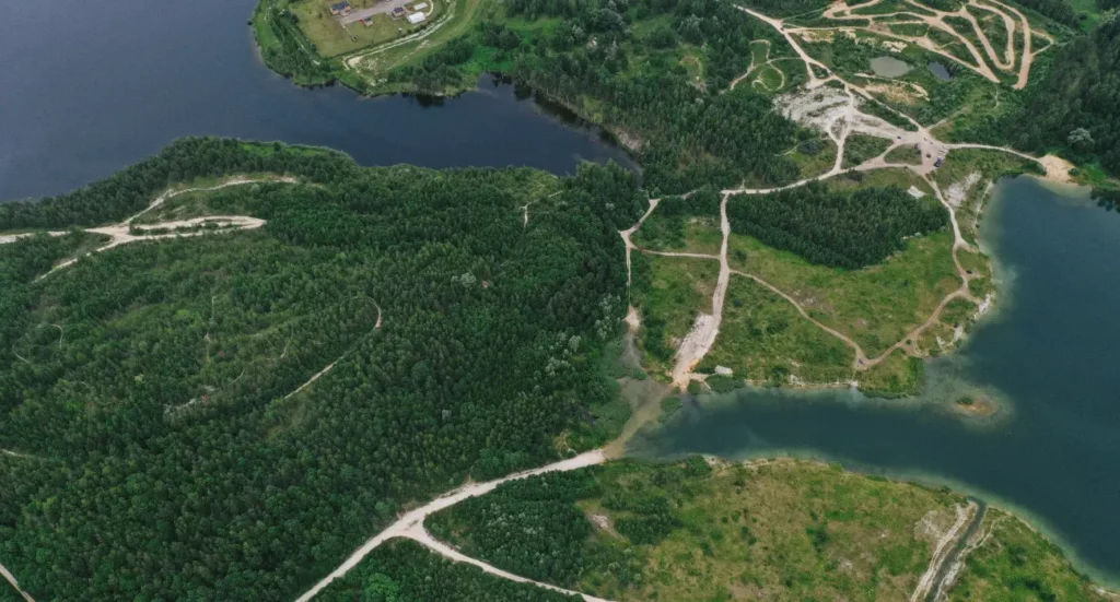 Custom GIS App for Forest Resource Management
