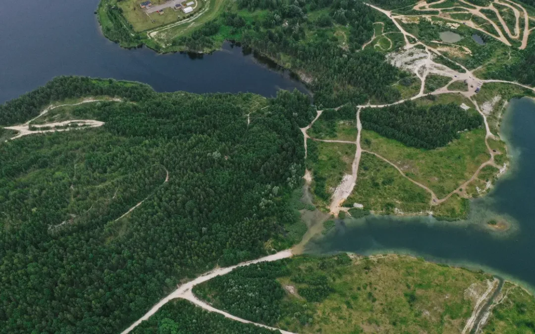 Custom GIS Application for Forest Resource Management